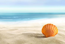 巴列卡诺逆袭获胜，实力展现无限