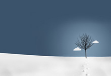 霍芬海姆战术趋势，大胜在望