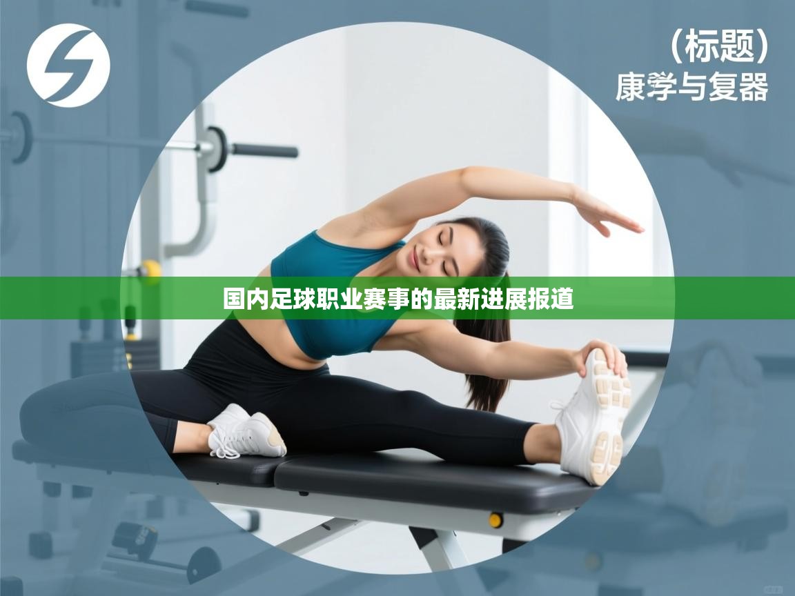 国内足球职业赛事的最新进展报道  第2张
