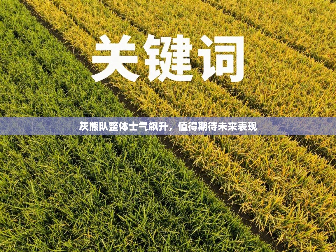 灰熊队整体士气飙升,值得期待未来表现 第2张