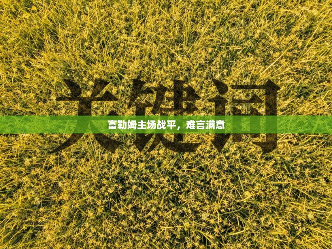 富勒姆主场战平，难言满意  第2张