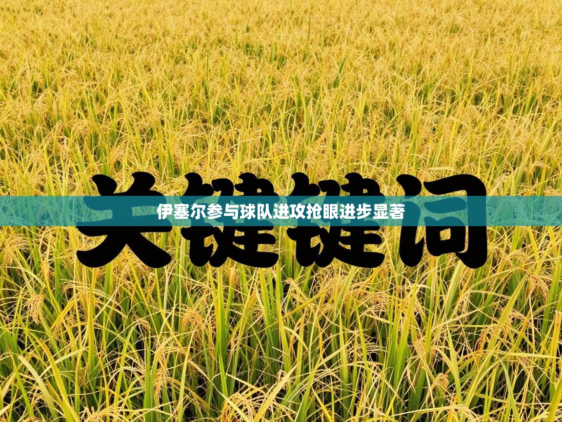 伊塞尔参与球队进攻抢眼进步显著 第2张