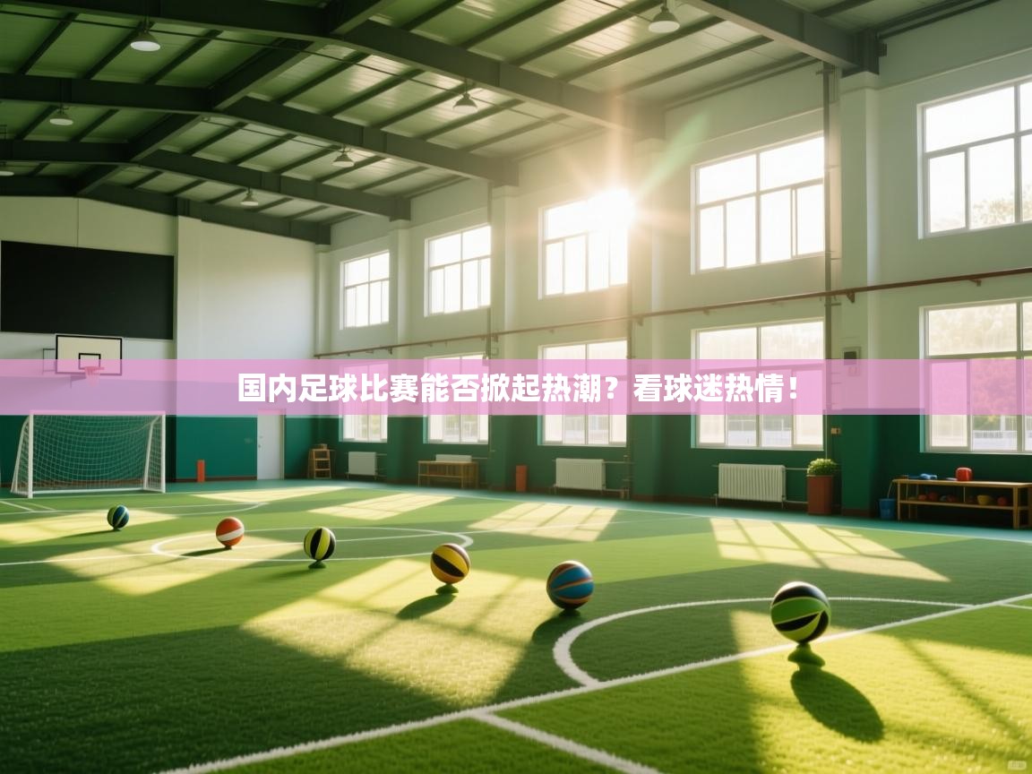 国内足球比赛能否掀起热潮？看球迷热情！